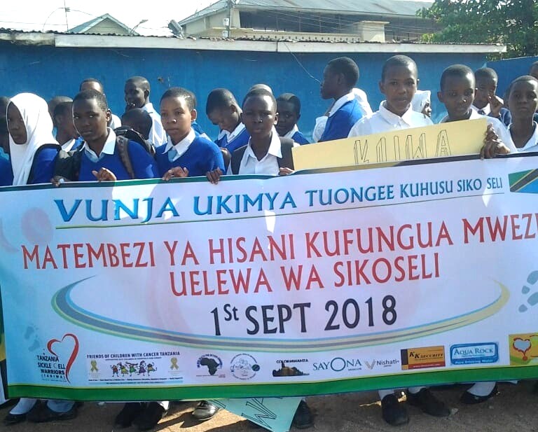 Charity Walk to Launch Sickle Cell Awareness Month – Mwanza,