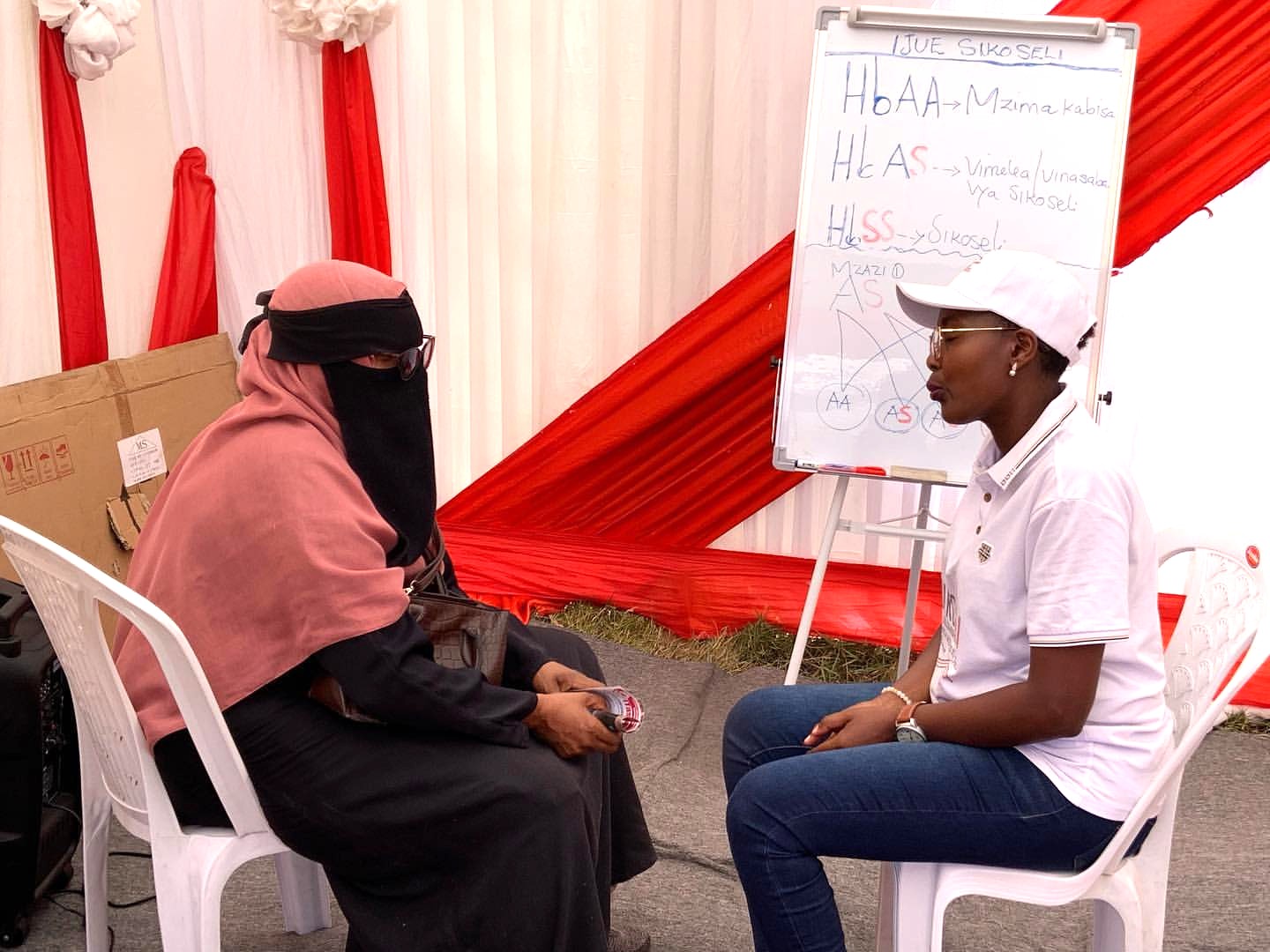 Sickle Cell Awareness During Nane Nane Exhibitions, 2023